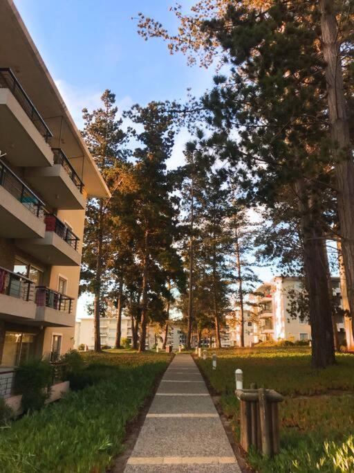 En - Tranquilidad Y Seguridad Apartment El Tabo